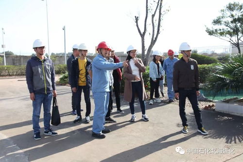 走綠色發展之路，樹環保標桿企業——環境保護監測的核心使命與實踐路徑